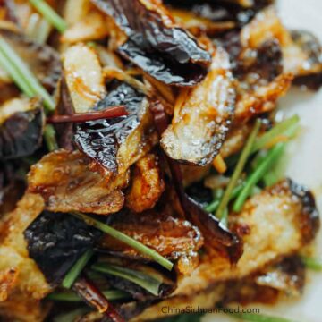 crispy eggplants|chinasichuanfood.com