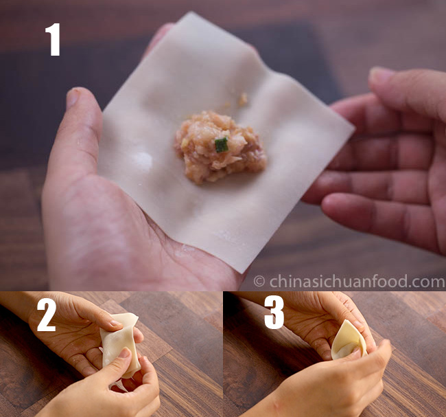 how to wrap wonton method 6