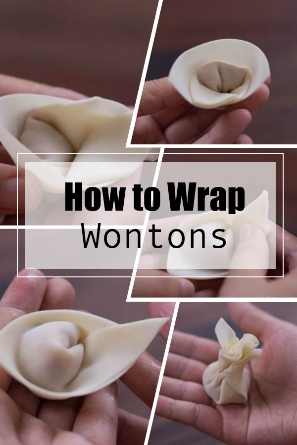 How to Fold Wontons – My Favorite 6 Ways