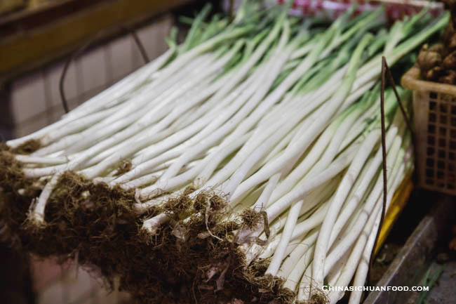 leek scallion |chinasichuanfood.com