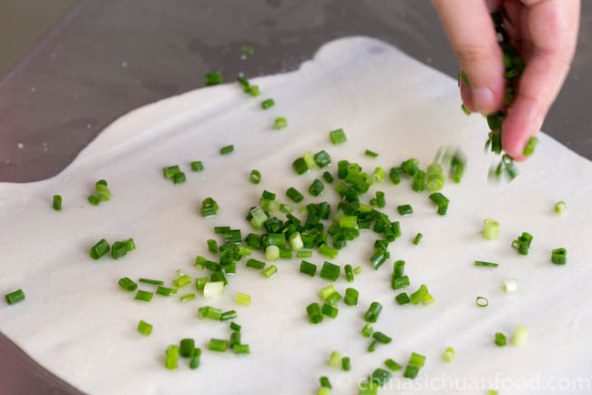 Scallion pancake | chinasichuanfood.com