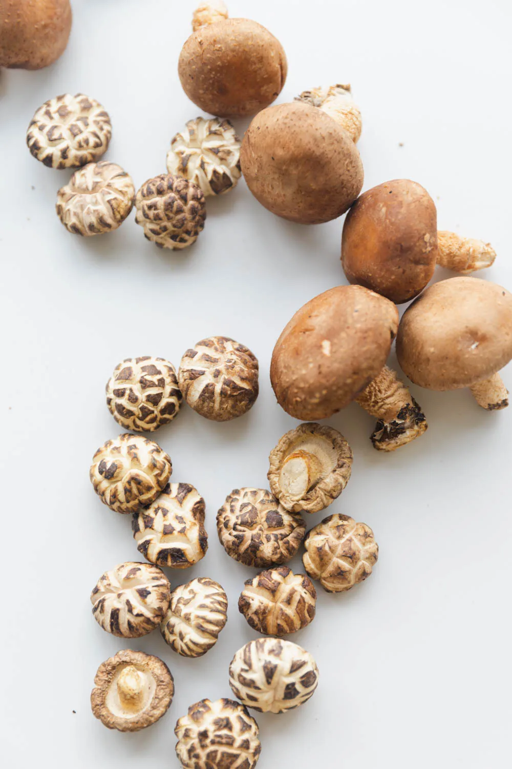 shiitake mushrooms|chinasichuanfood.com