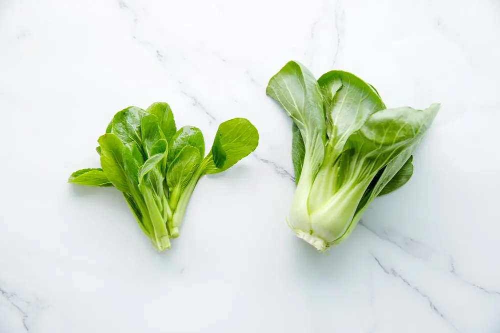 how to cut bok choy|chinasichuanfood.com