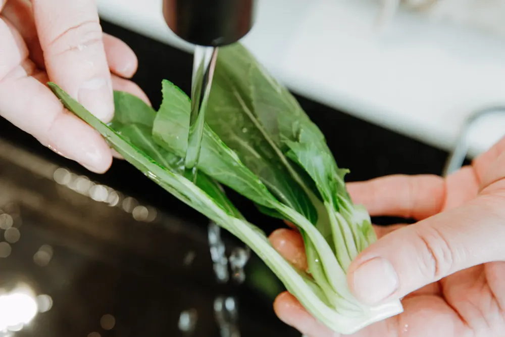 how to cut bok choy|chinasichuanfood.com