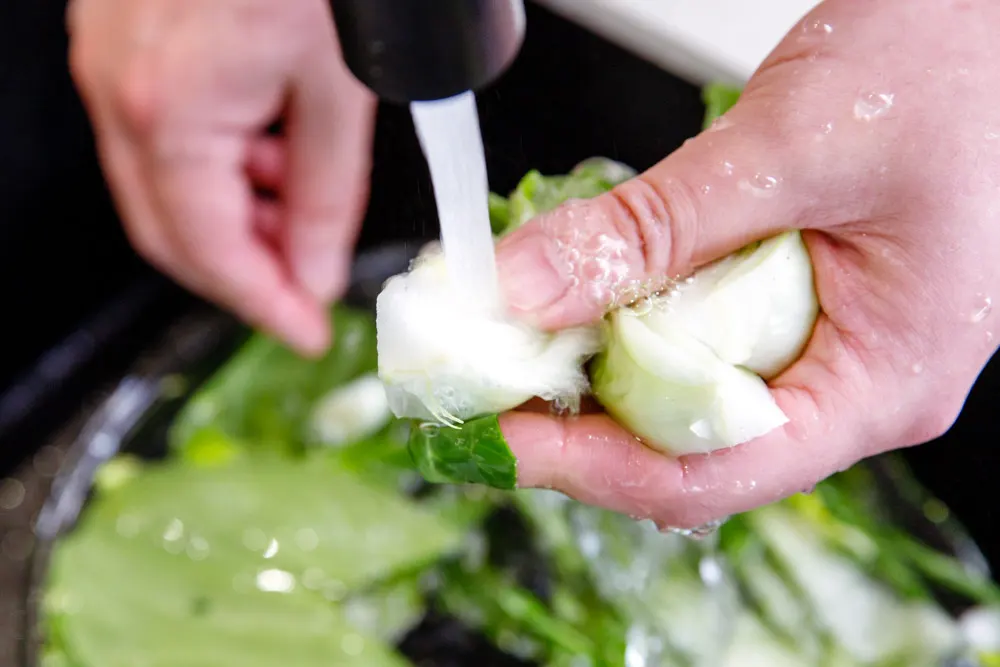 bok choy stir fry|chinasichuanfood.com