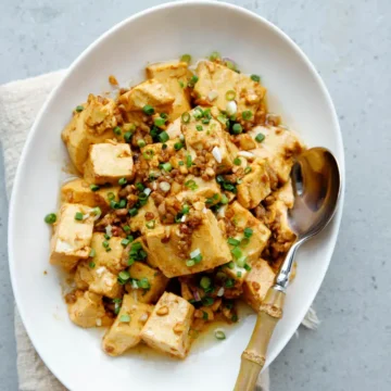 braised tofu with minced pork|chinasichuanfood.com