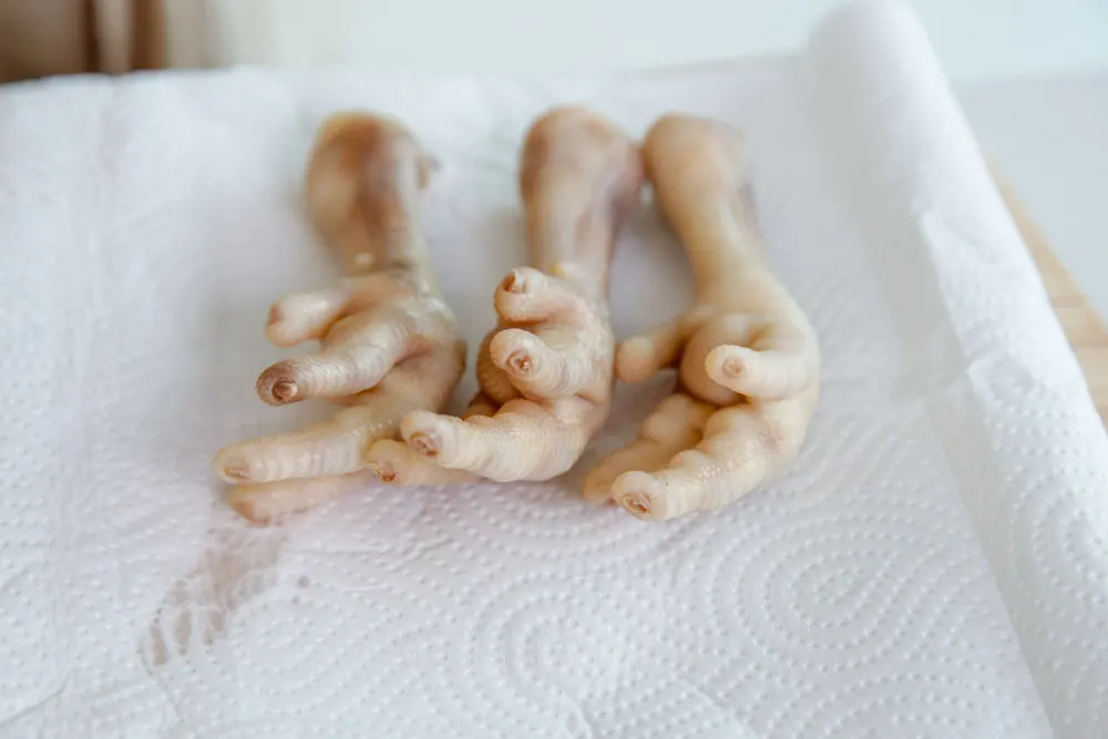 chicken feet|chinasichuanfood.com