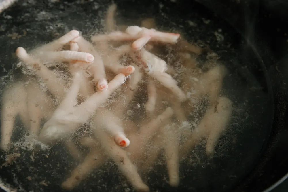 chicken feet salad|chinasichuanfood.com