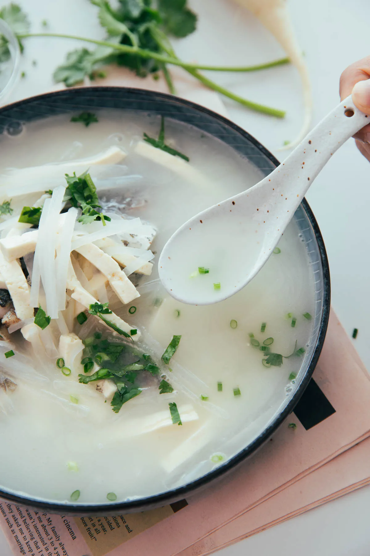 Chinese fish soup|chinasichuanfood.com