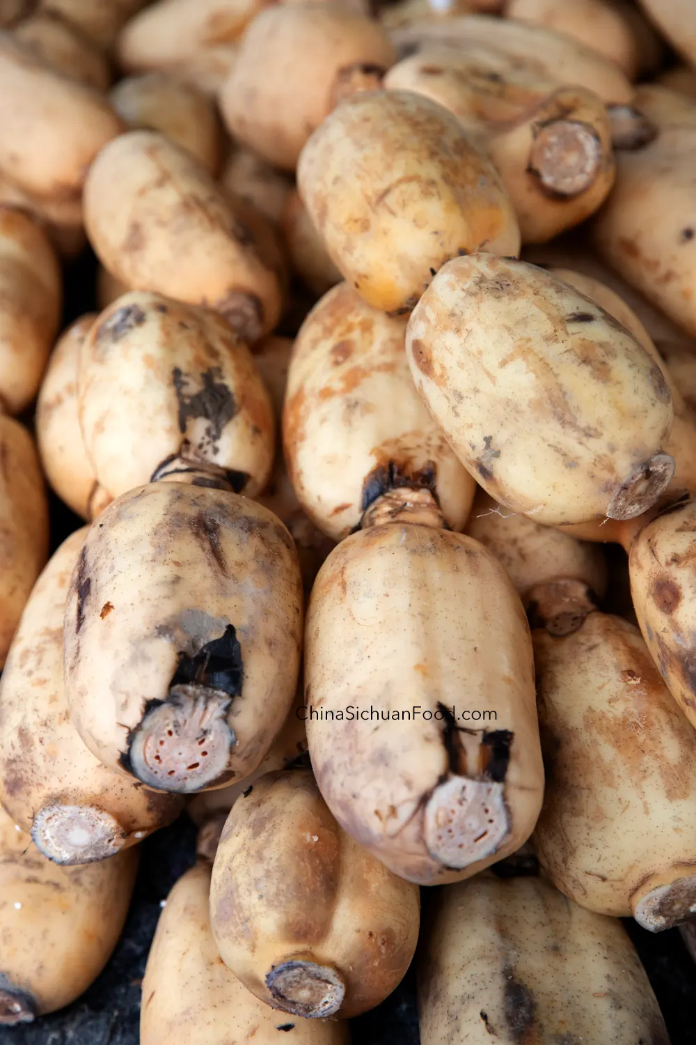 lotus root powder|chinasichuanfood.com