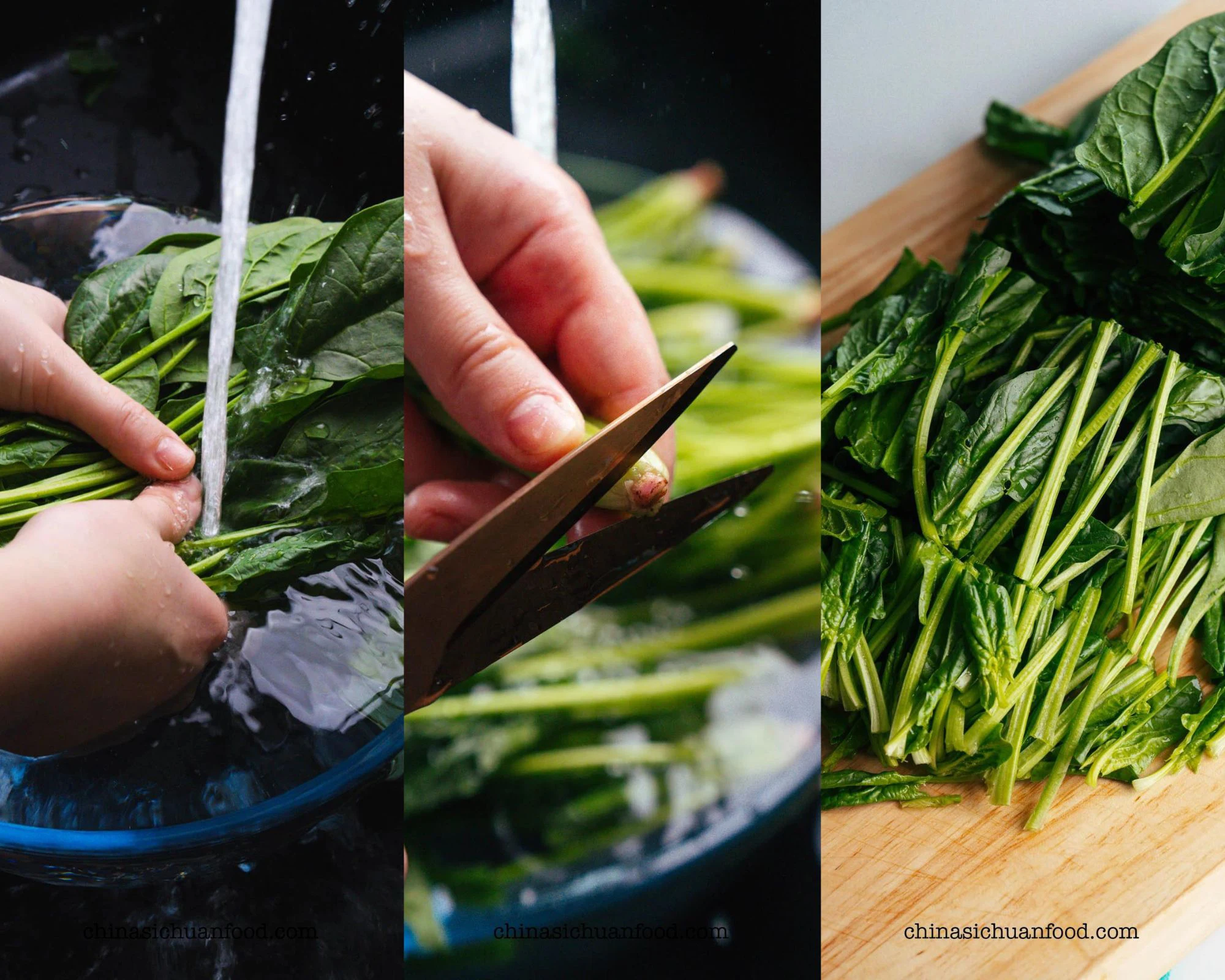 spinach stir fry | chinasichuanfood.com