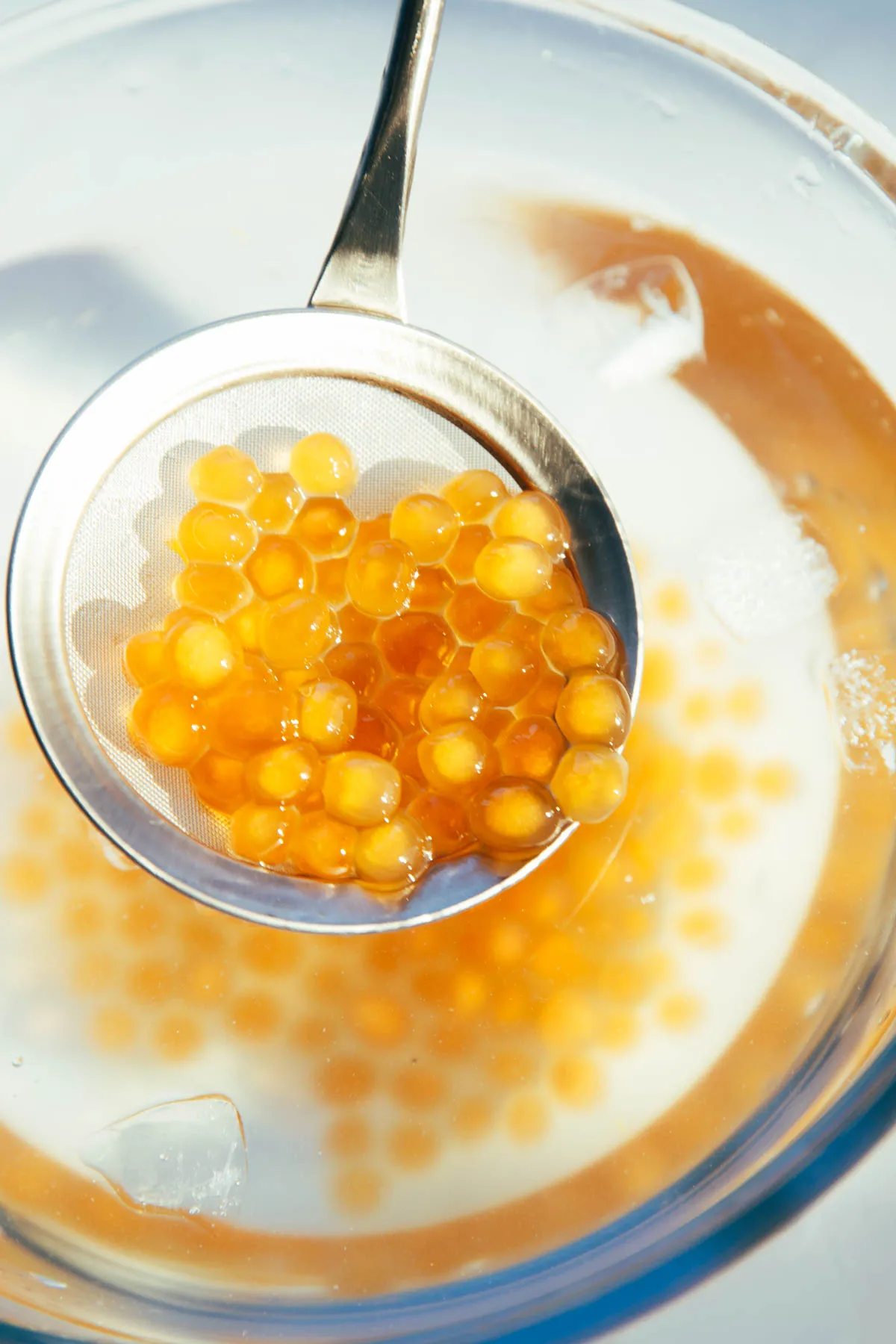 golden boba |chinasichuanfood.com