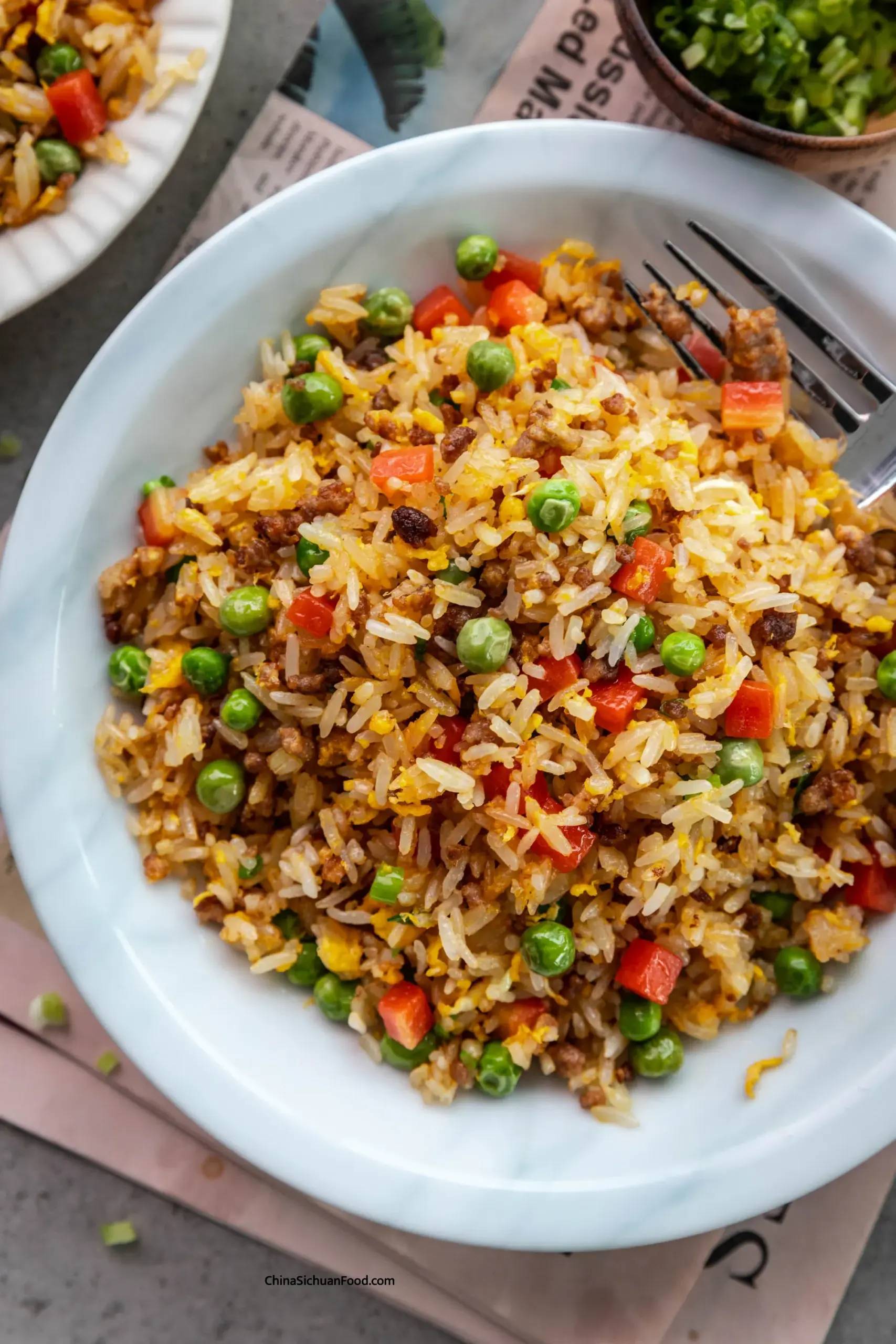 pork fried rice|chinasichuanfood.com