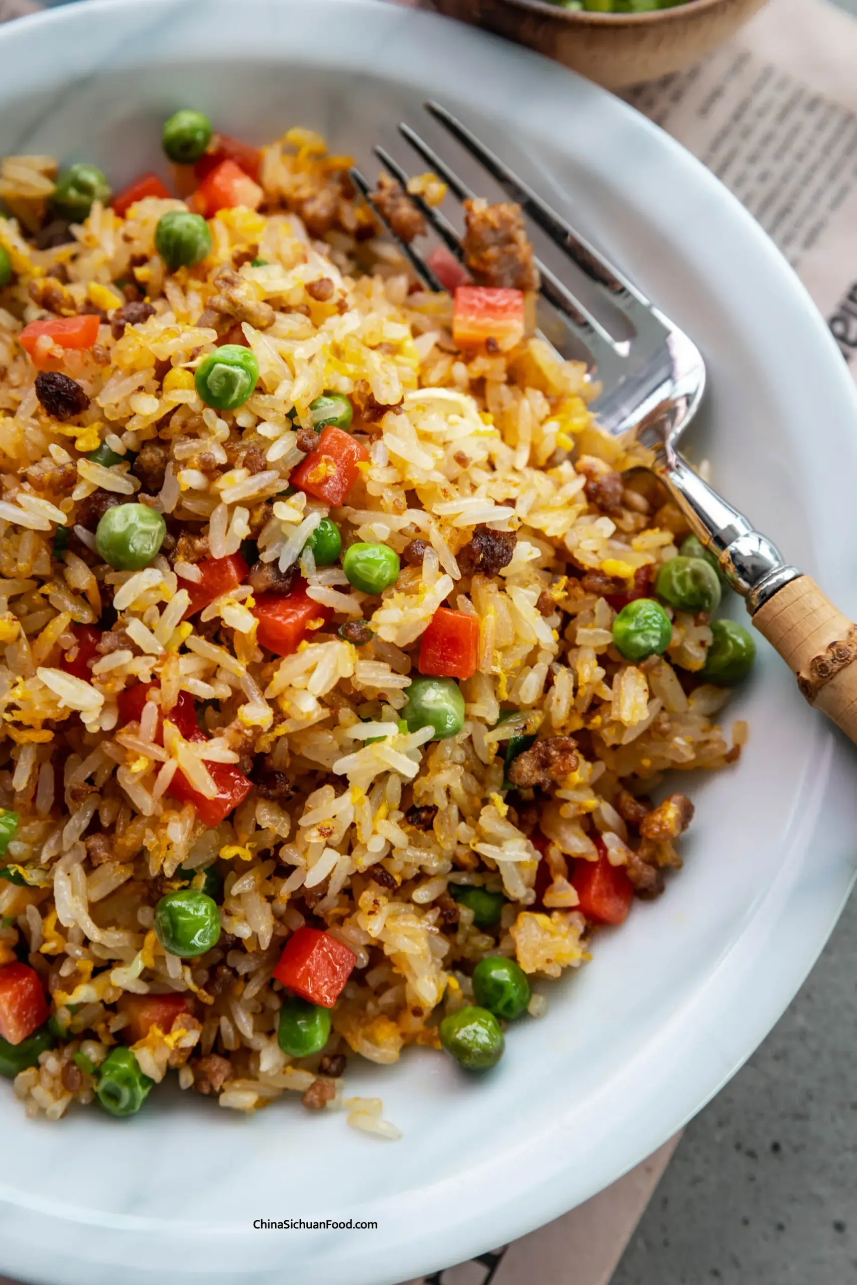 pork fried rice|chinasichuanfood.com