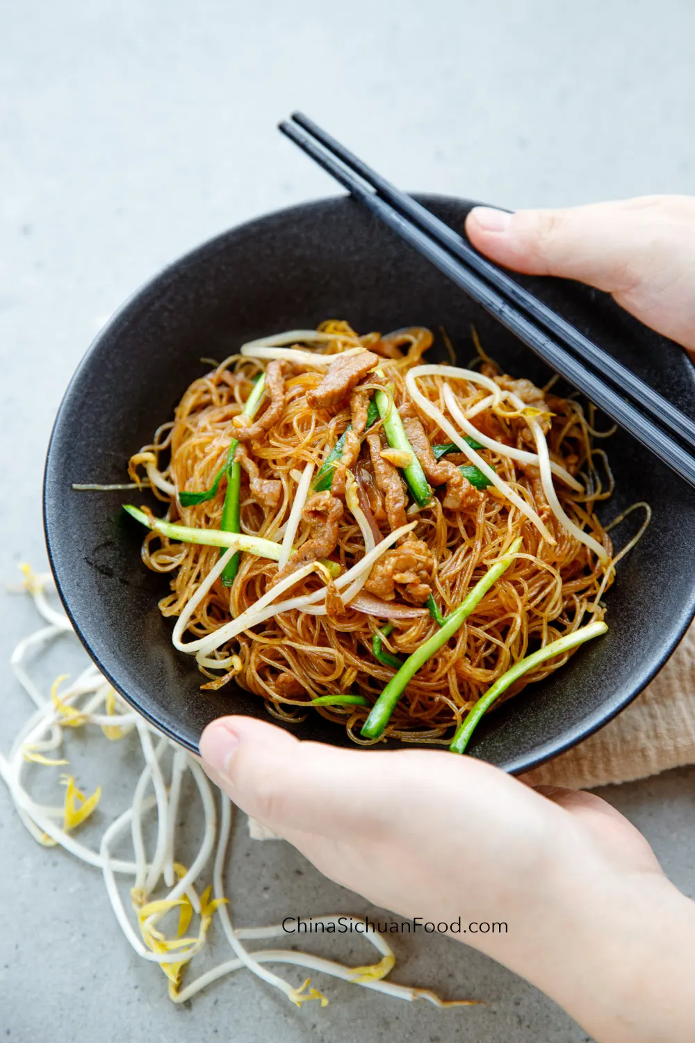 pork mein fun|chinasichuanfood.com