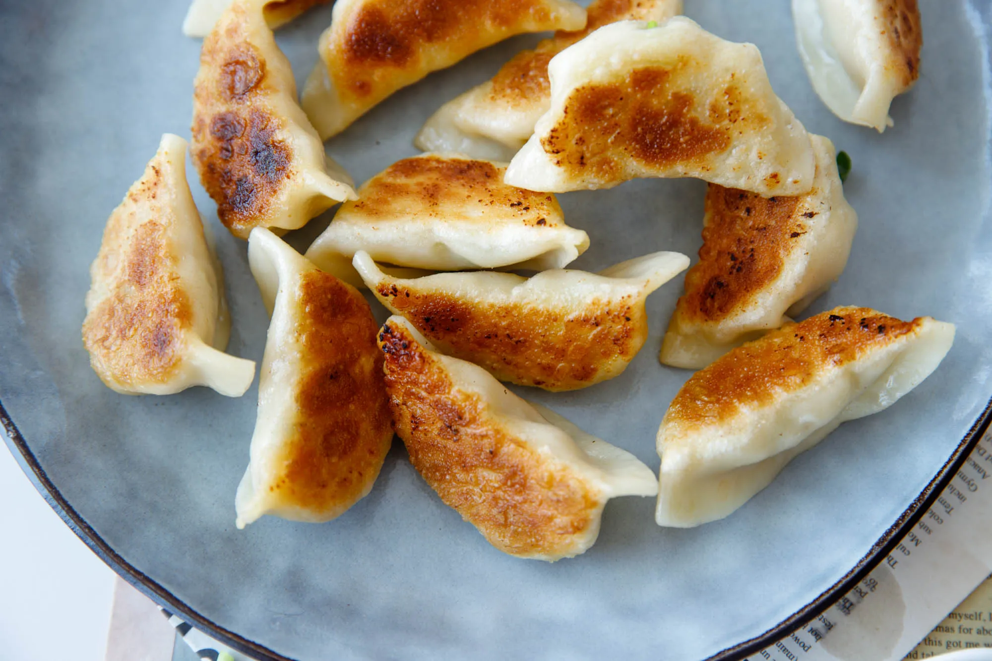 pork potstickers|chinasichuanfood.com