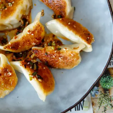 pot potstickers|chinasichuanfood.com