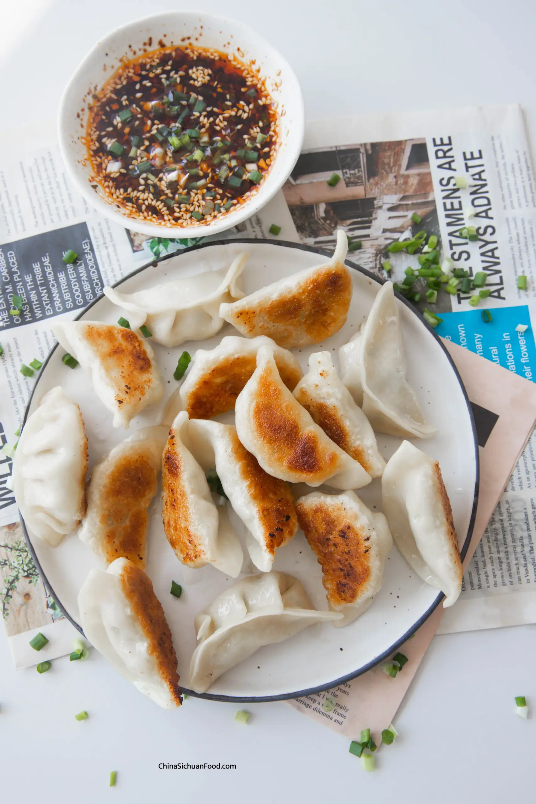 pork potstickers|chinasichuanfood.com