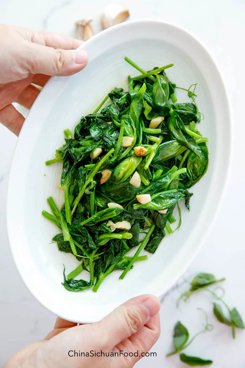 snow pea leaf|chinasichuanfood.com