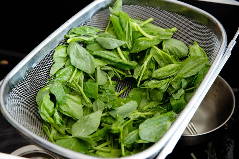 snow pea leaf|chinasichuanfood.com