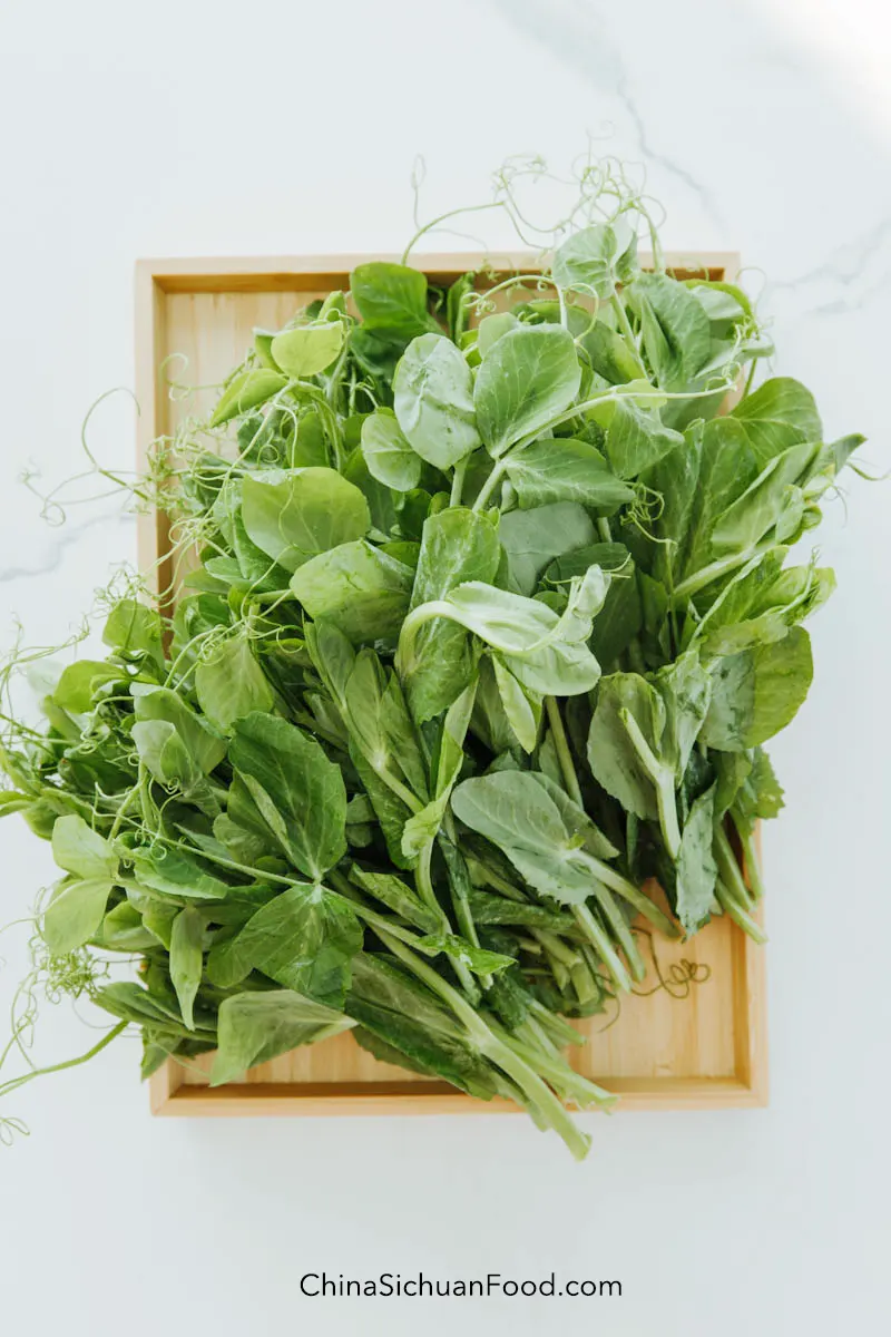 snow pea leaf|chinasichuanfood.com