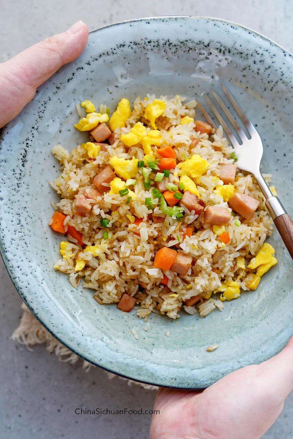 spam fried rice|chinasichuanfood.com