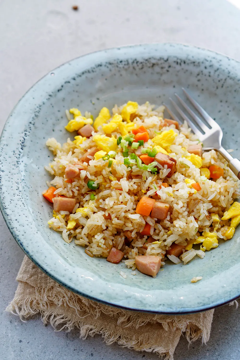 spam fried rice|chinasichuanfood.com