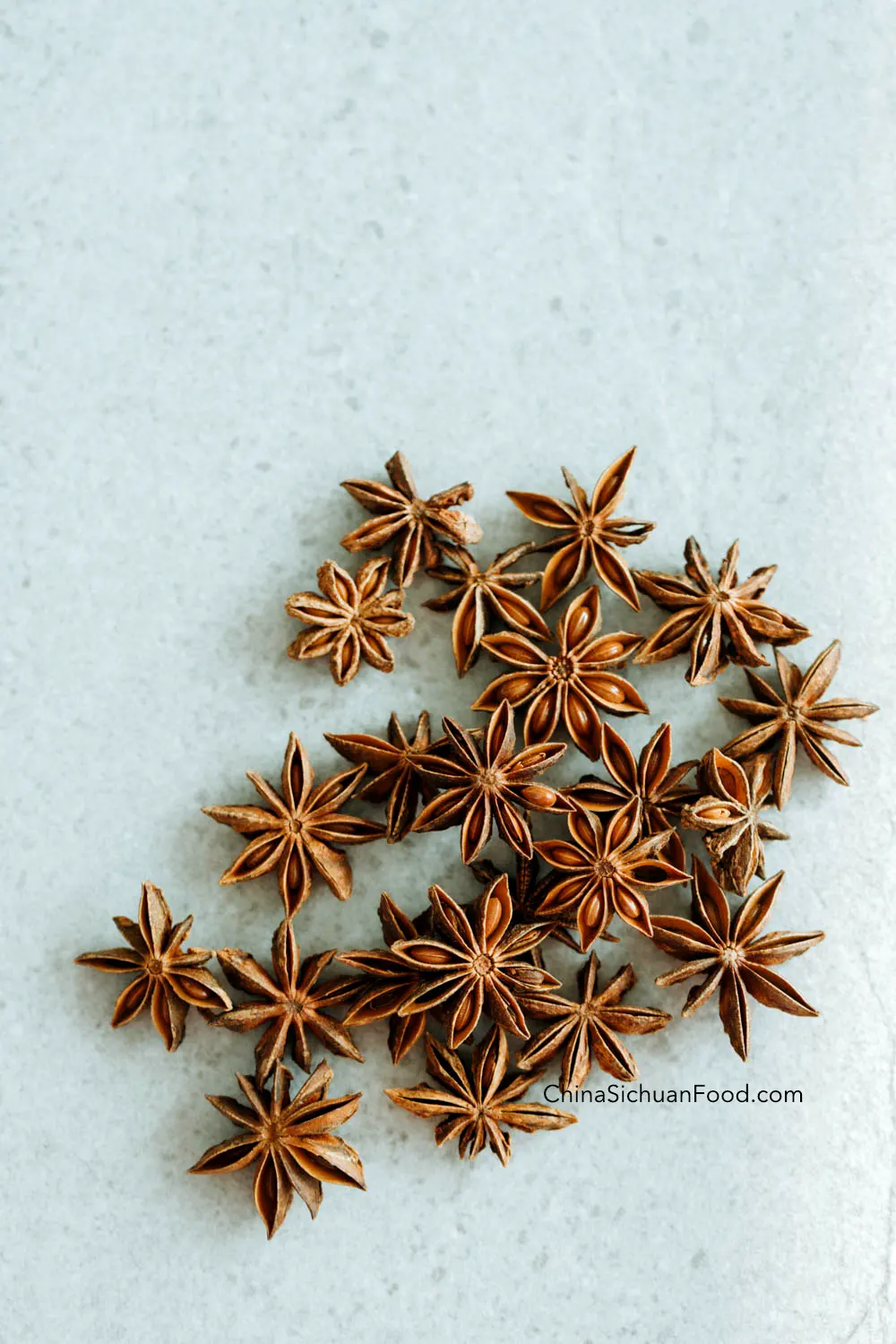 star anises|chinasichuanfood.com