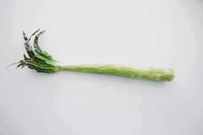 stem celtuce stir fry|chinasichuanfood.com