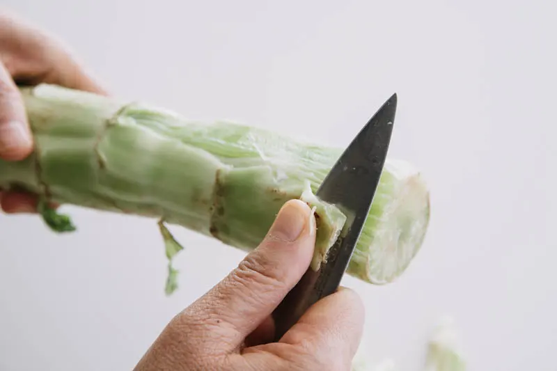 stem celtuce stir fry|chinasichuanfood.com